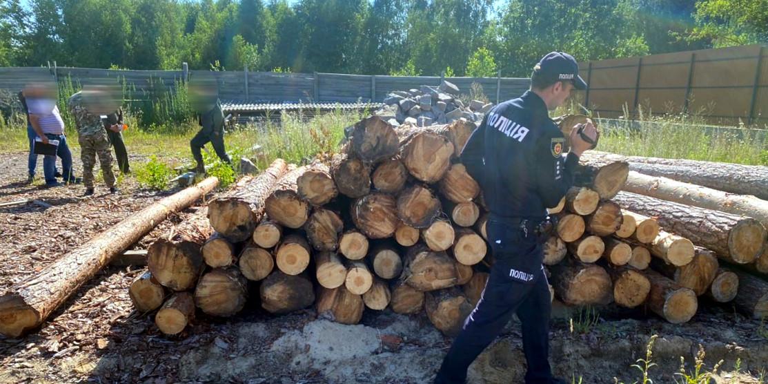 На Сарненщині поліцейські вилучили незаконну деревину та лісопродукцію