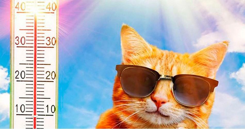 Вихідні на Рівненщині залишаться спекотними