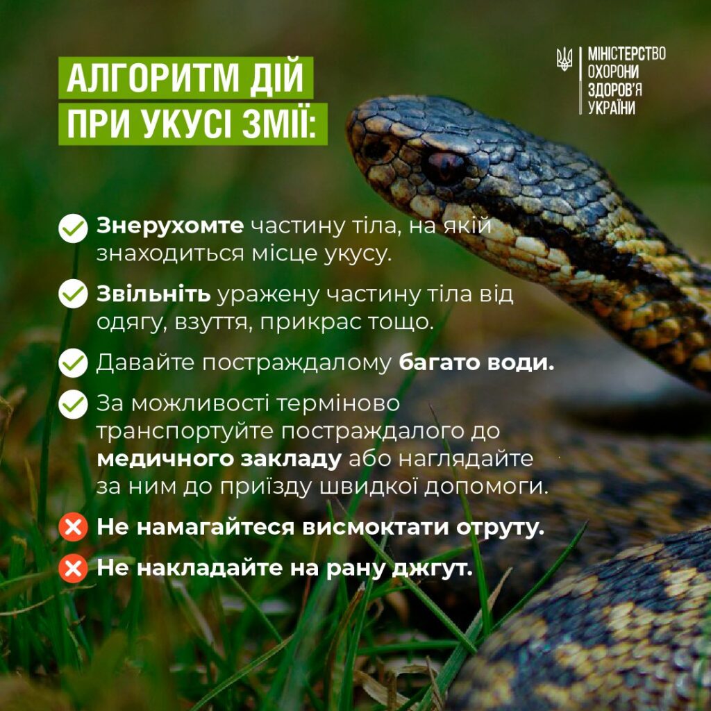 ukus-zmii