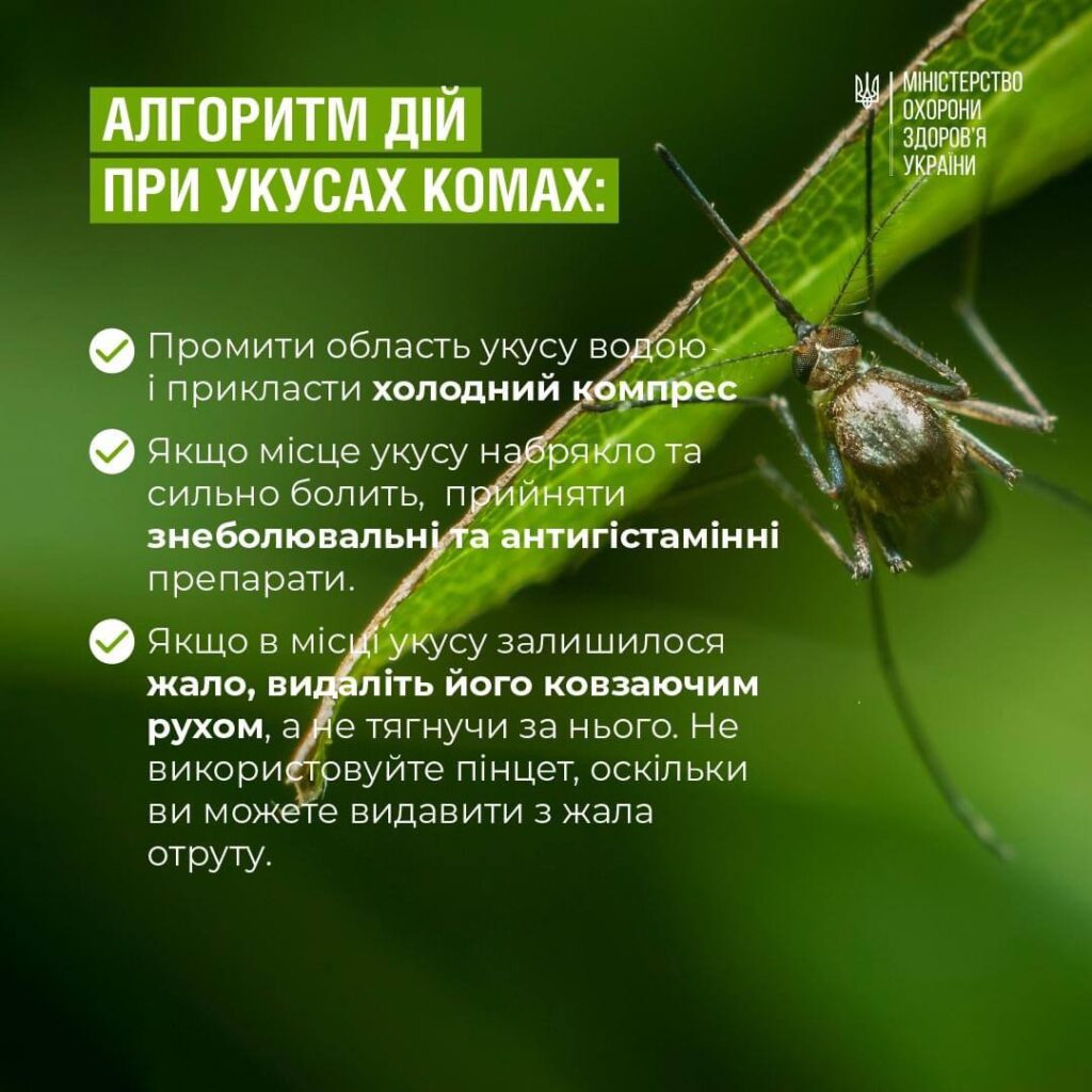 Інфографіка — укуси комах.