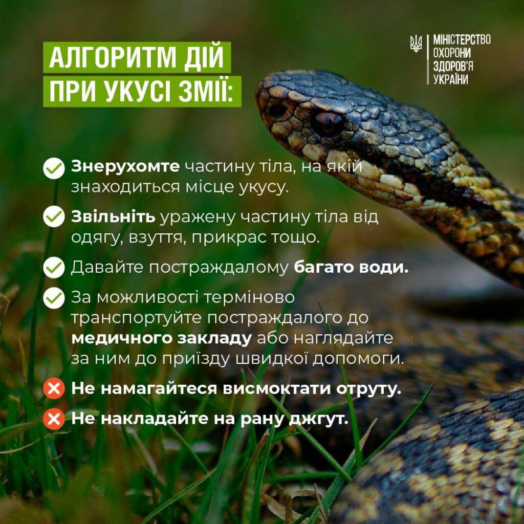 Інфографіка - укуси змій.