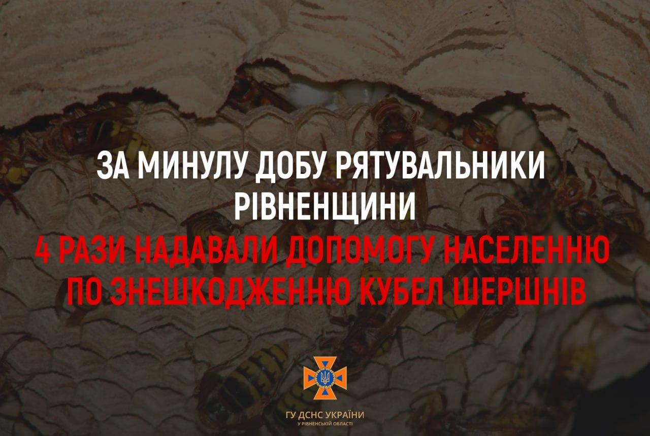 На боротьбу з шершнями на Рівненщині викликають вогнеборців