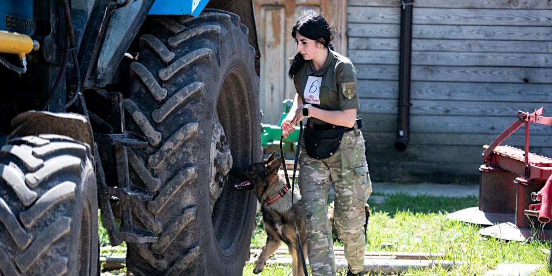 На Рівненщині відбулися змагання собак-детекторів із пошуку вибухівки