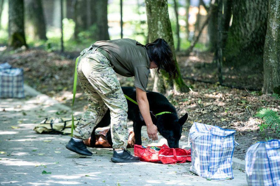 Під час змагань.