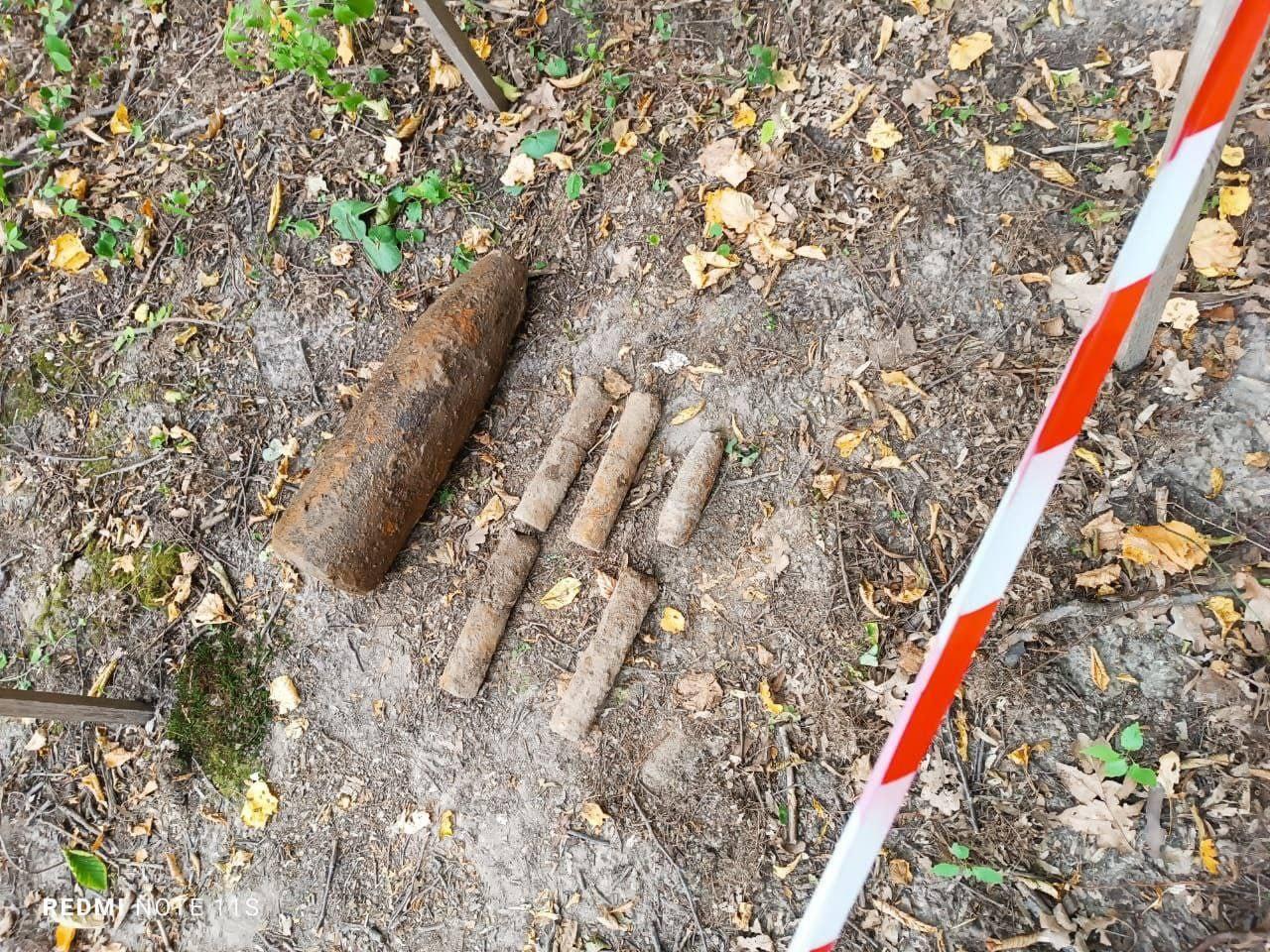 Піротехніки знищили боєприпаси у двох районах Рівненщини