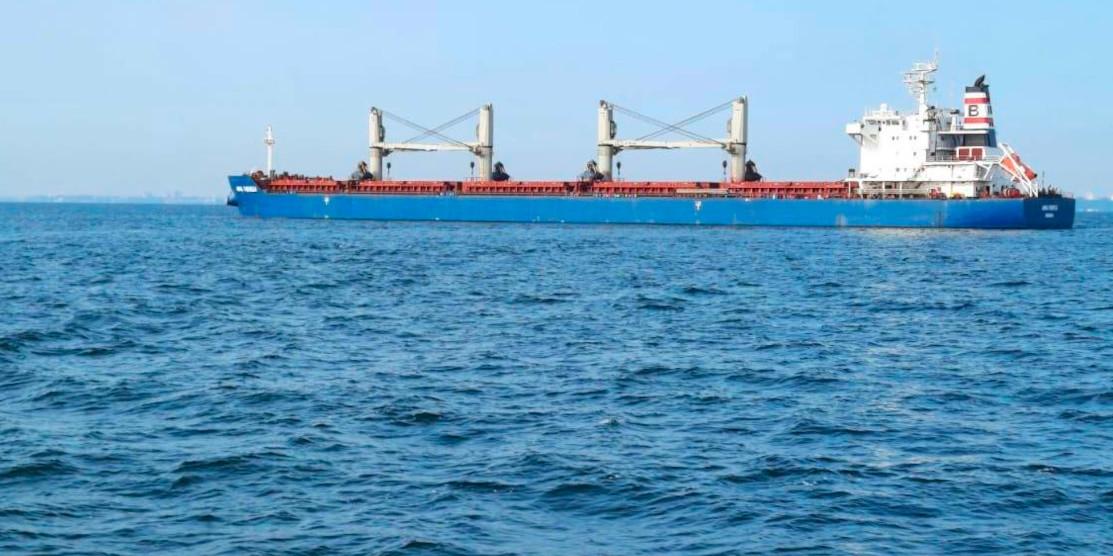 Ще два заблокованих через війну судна вийшли з чорноморських морських портів України