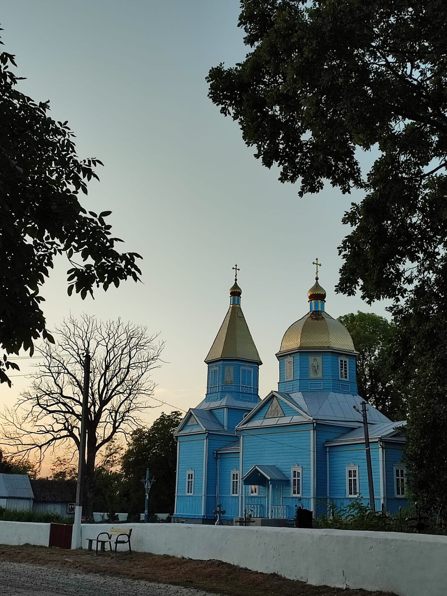 душа дерева