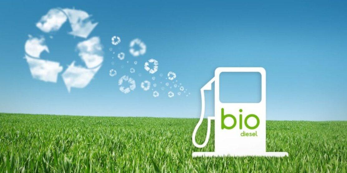 Biodiesel