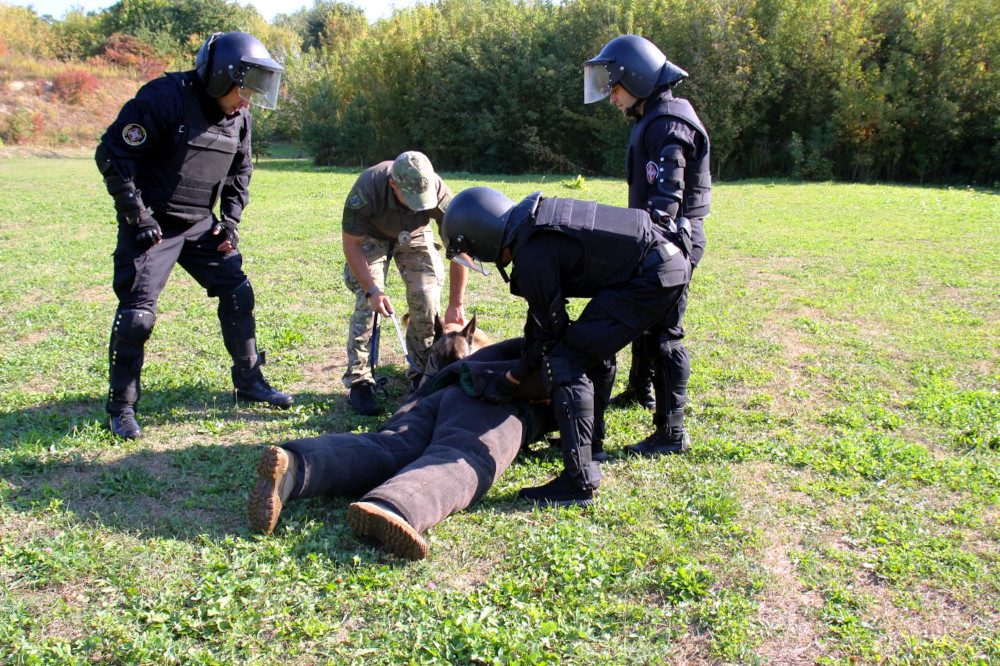 Арна допомагає затримувати "втікача".