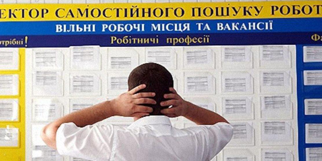 Шукає роботу