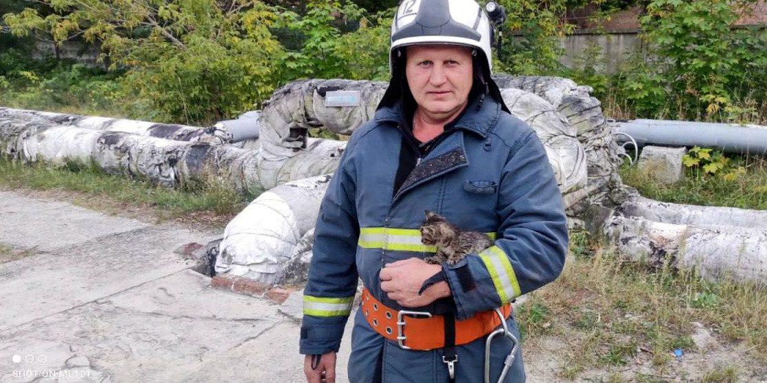Рятувальник з кошеням.