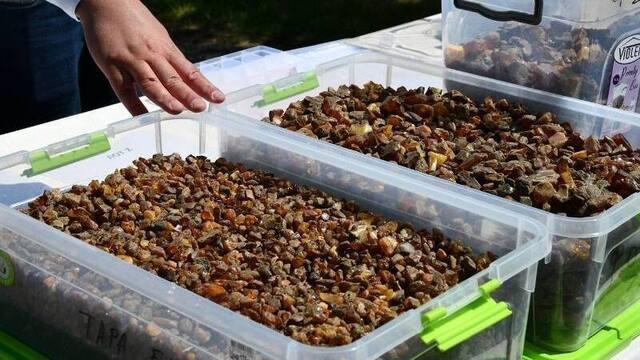 На Рівненщині зріс легальний видобуток бурштину на Рівненщині бурштин