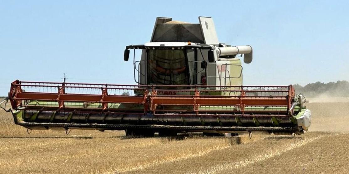 Завдяки сприятливій погоді збирання врожаю на Рівненщині добігає кінця Комбайн в полі.
