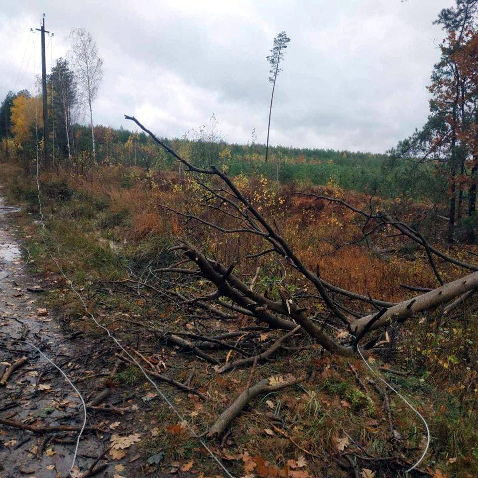 Порвані дроти.
