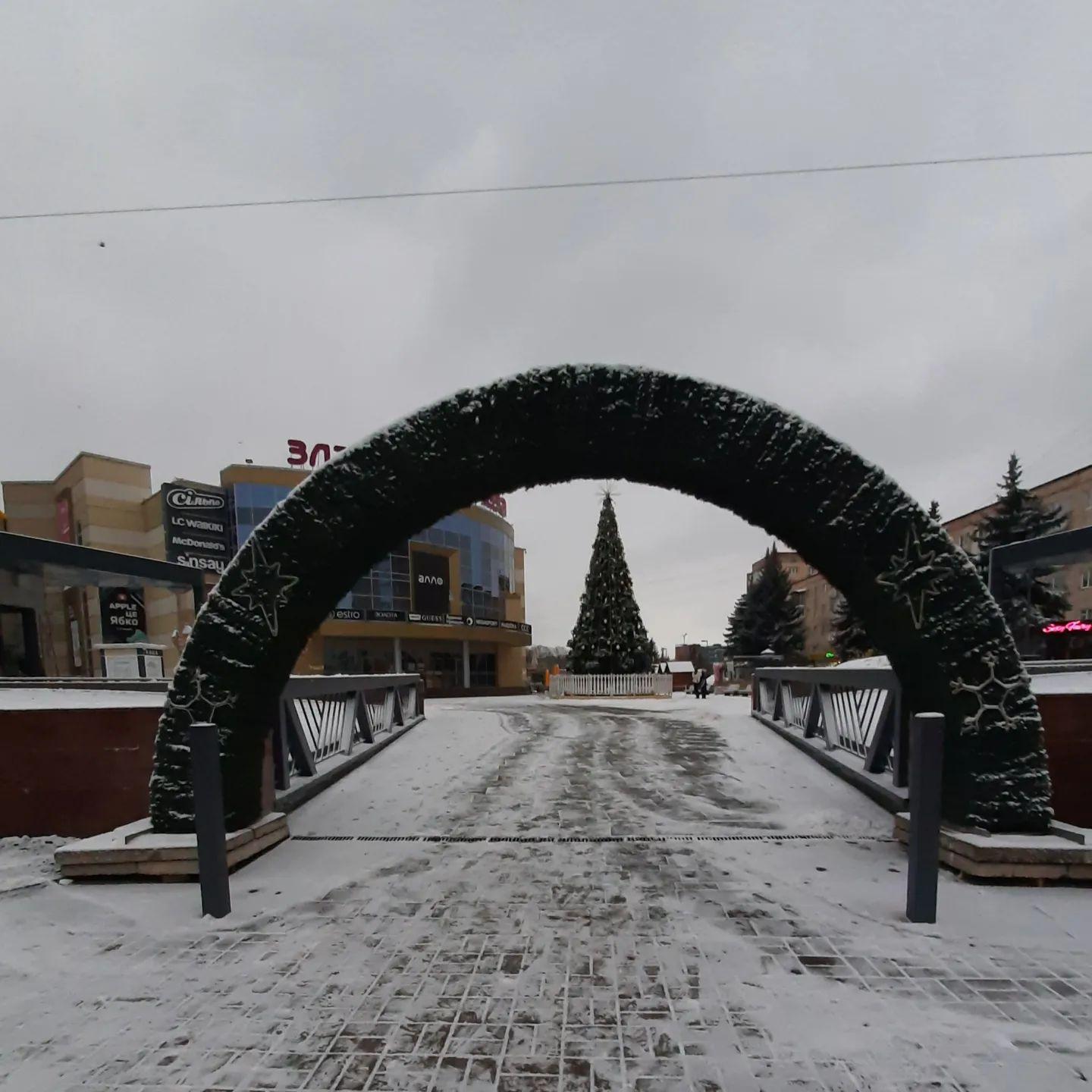 Ялинка в рівному