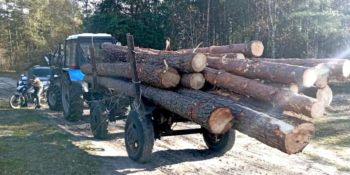Трактор із причепом, завантаженим деревиною.