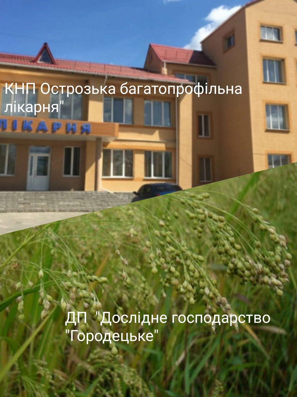 під контролем аудиторів