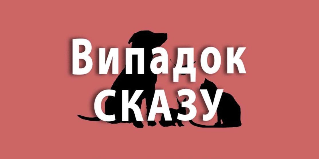 Графіка.