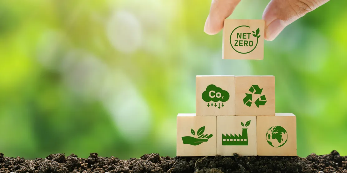 NetZero
