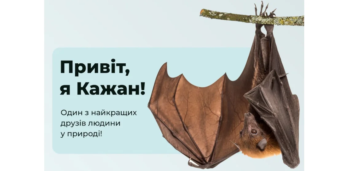 Кажан.