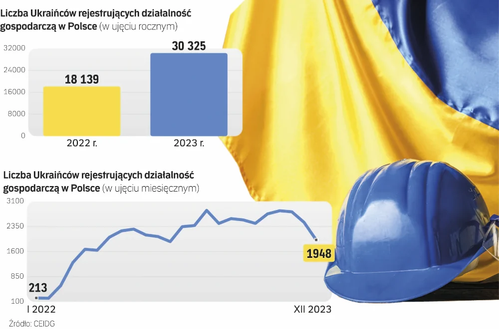 Інфографіка реєстрацій.