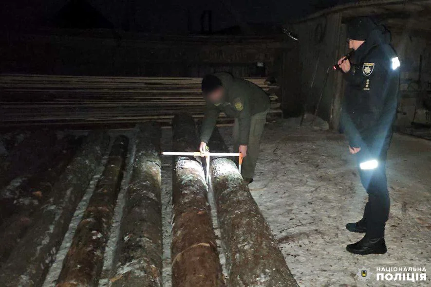 Замір діаметру деревини.