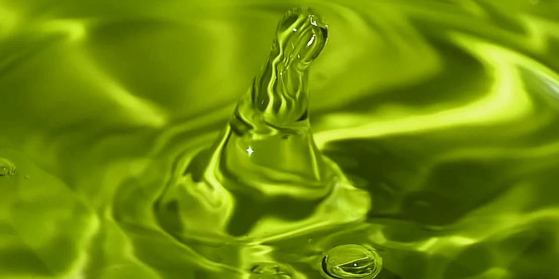 Зелена вода.