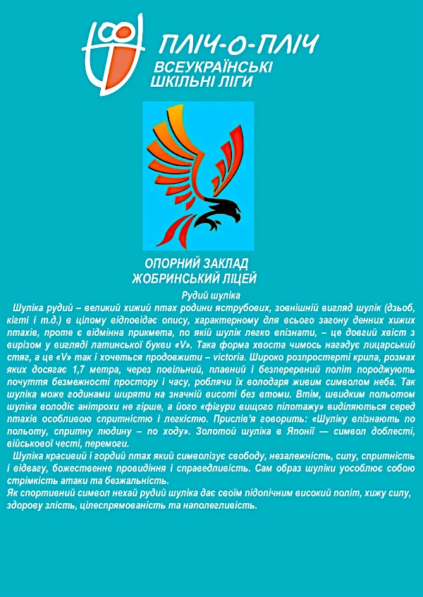 Жобринський ліцей.