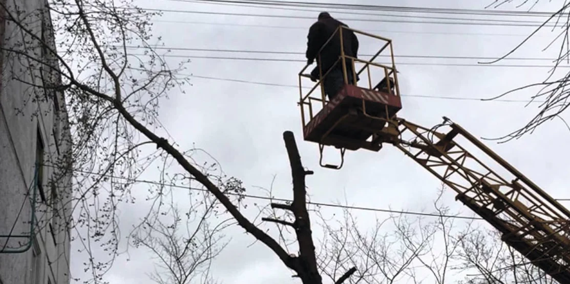 Зрізання дерева.