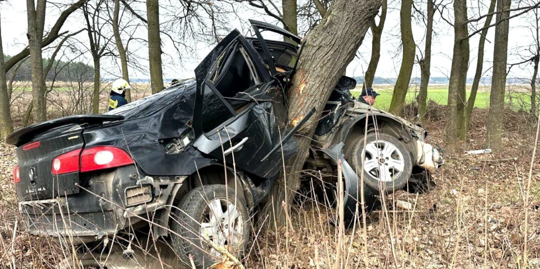 Авто вдарилось в дерево.