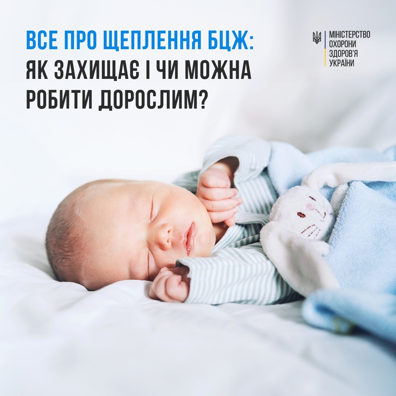 Коли роблять щеплення БЦЖ