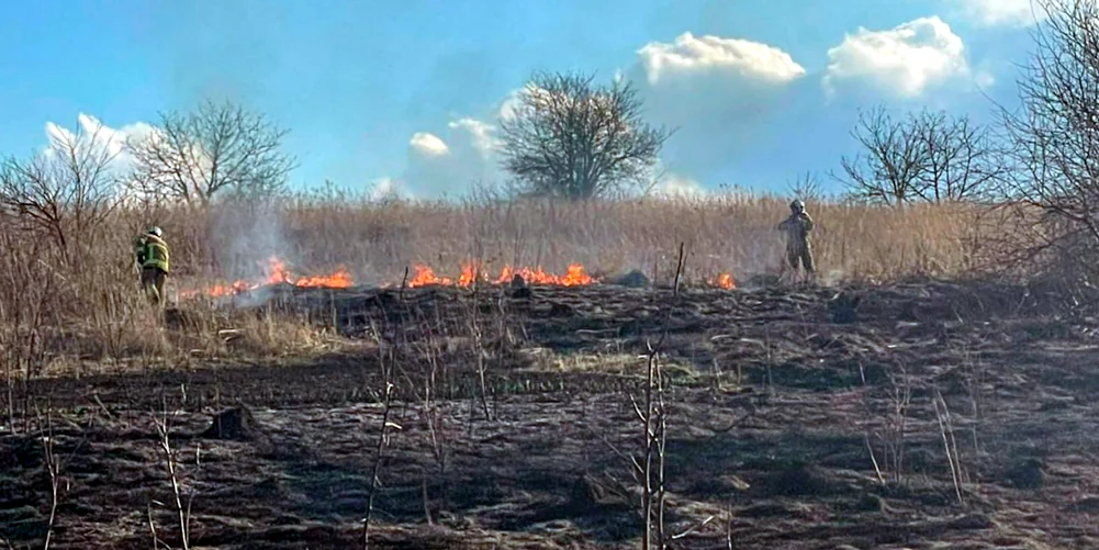 Понад 1,2 тисячі пожеж ліквідовано на Рівненщині цього року