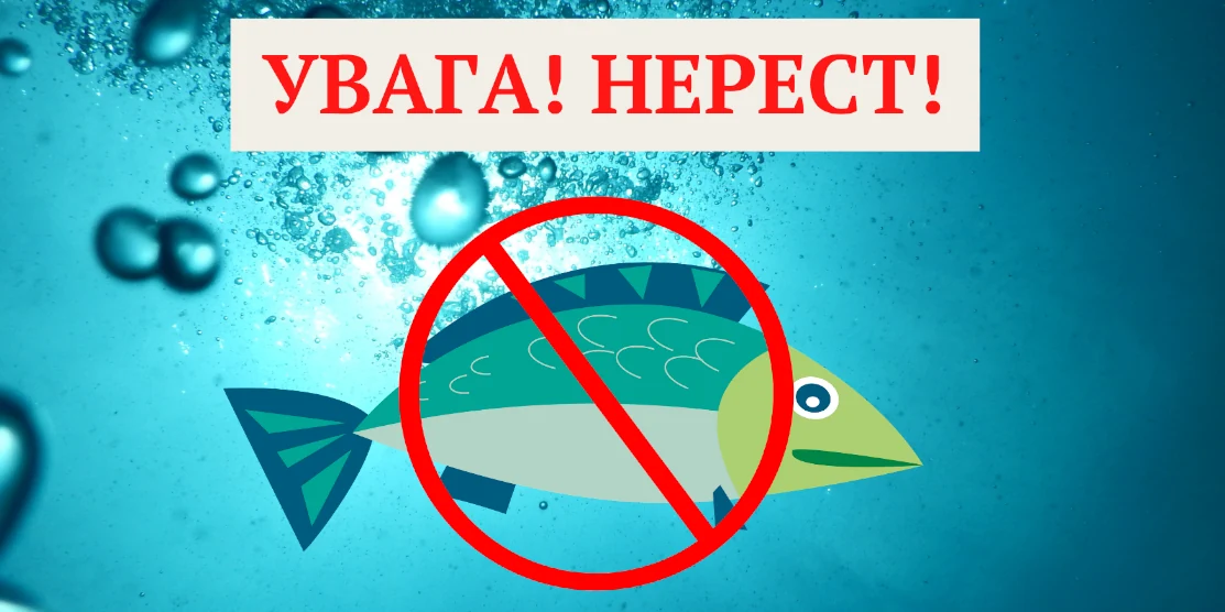 Увага! Нерест!