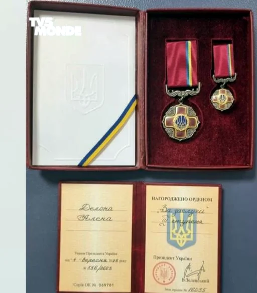 Нагорода Алена Делона.