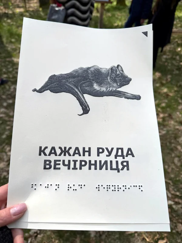 Екостежка «Урочище Вільхава» на Рівненщині стає безбар'єрною - фото 4