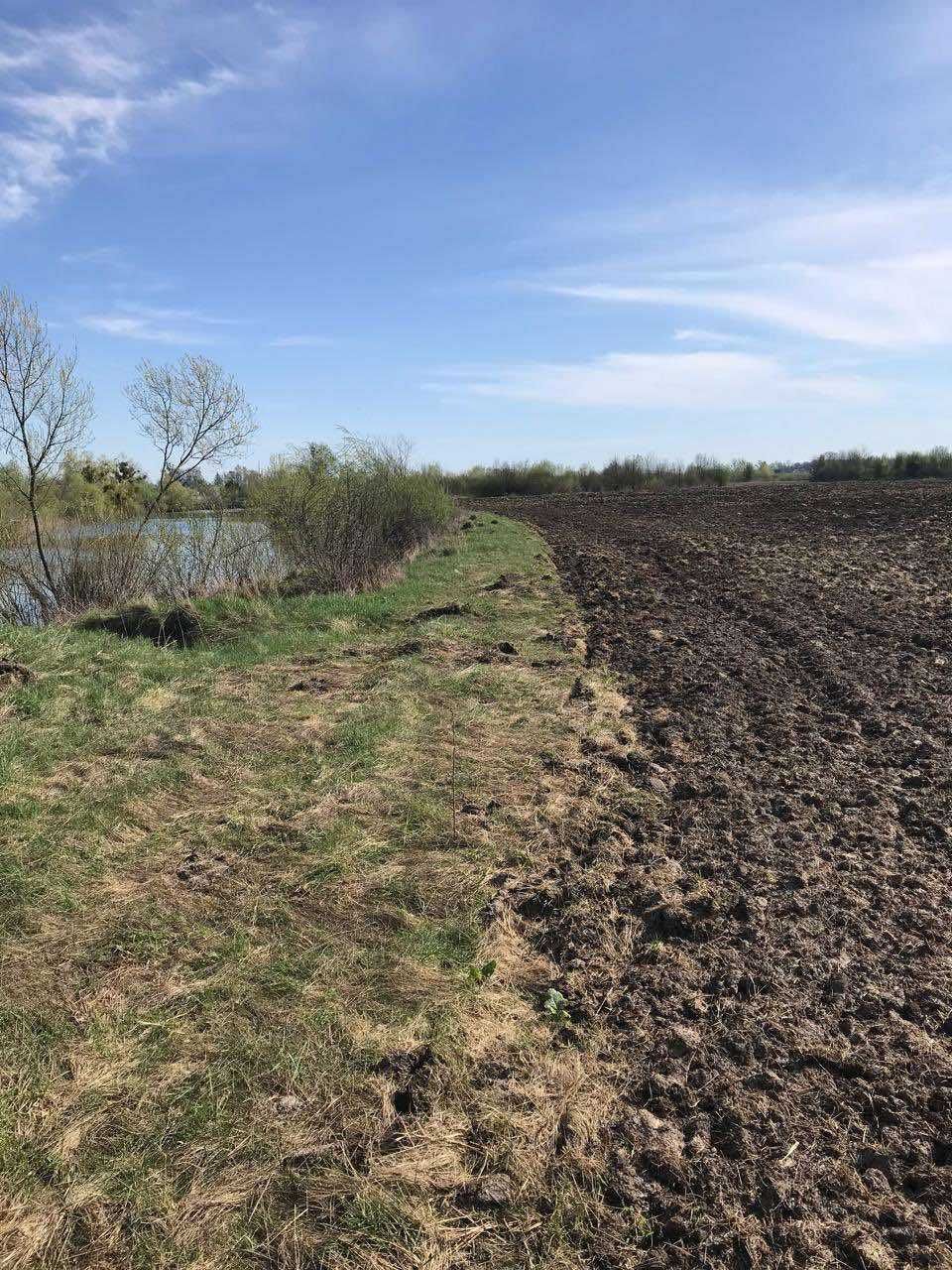 Прибережну захисну смугу річки Горинь на Рівненщині розорали