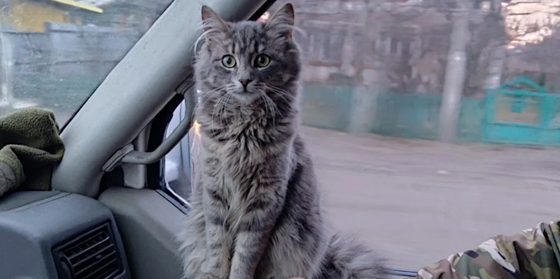 "Котусько".