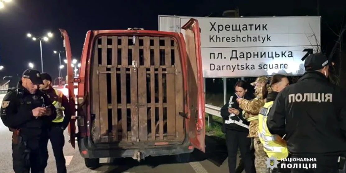 Мікроавтобус, в якому перевозили оленів.