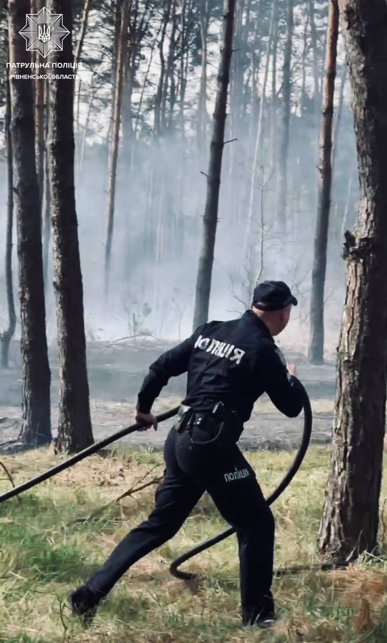 у лісі пожежа