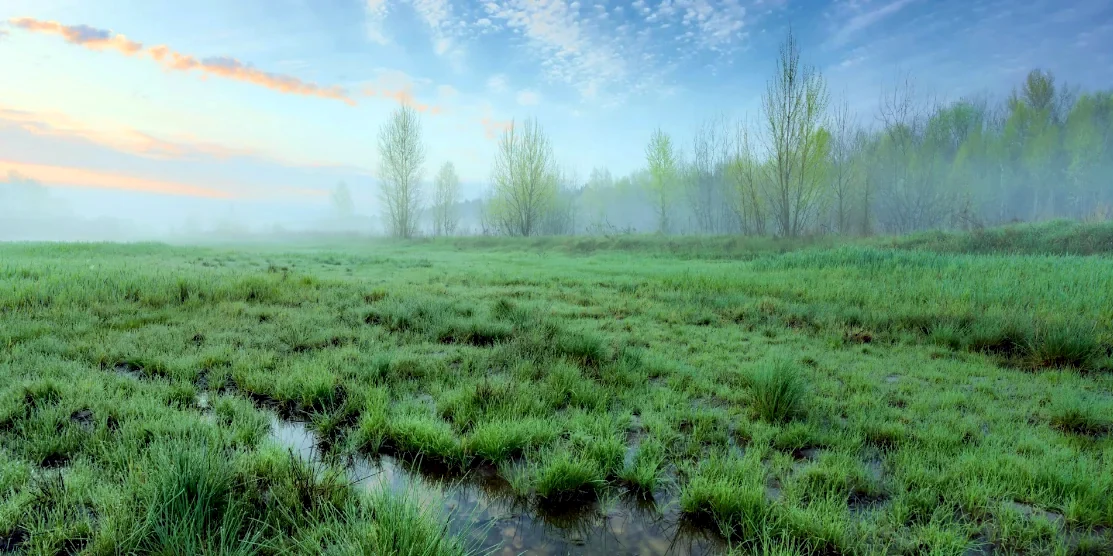 Прогноз погоди на 1 травня по Рівненщині Авточернетка