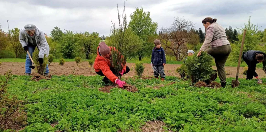 Висадка кущів і дерев у КЗ "Центр національно-патріотичного виховання та позашкільної освіти" РОР.