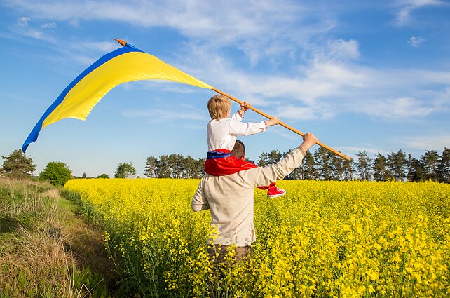 Збери вишиту Україну (Пазл)