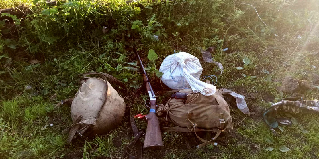 У Вараському районі браконьєри вполювали червонокнижного звіра