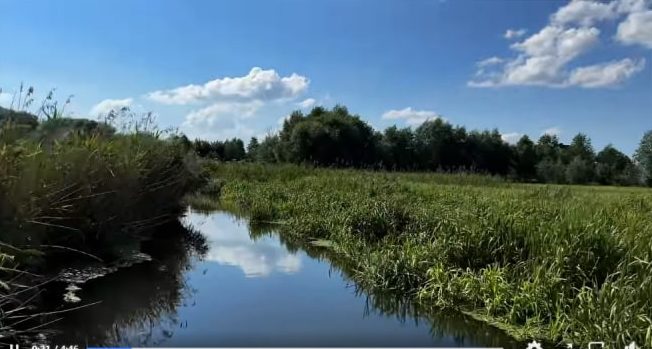 Рівненські плавні бережуть водойми міста