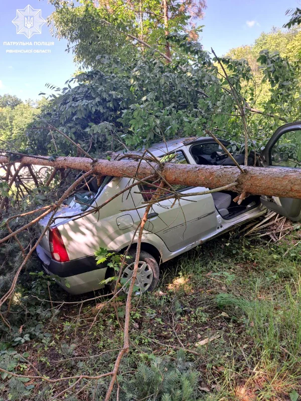У кювет з автодороги в Рівненському районі злетіла автівка - фото 1