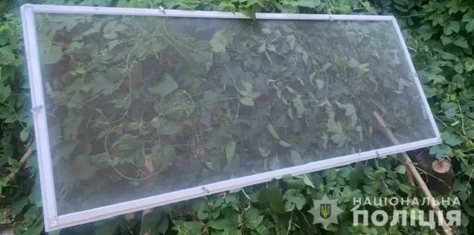 З вікна квартири випали двоє дітей