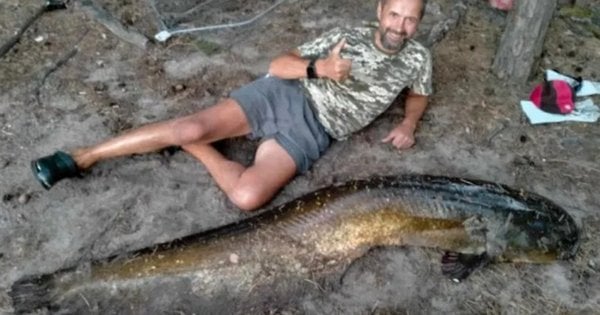 Майже двометрового сома зловив рибалка на Рівненщині