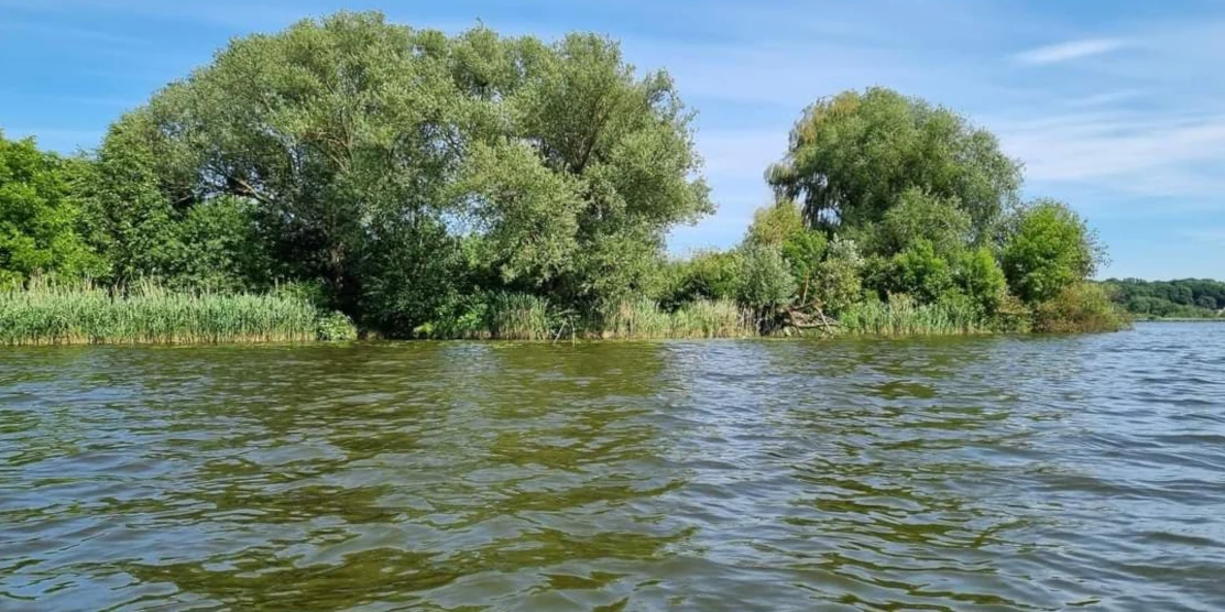 Оновлені дані про якість води у водоймах Рівненщини