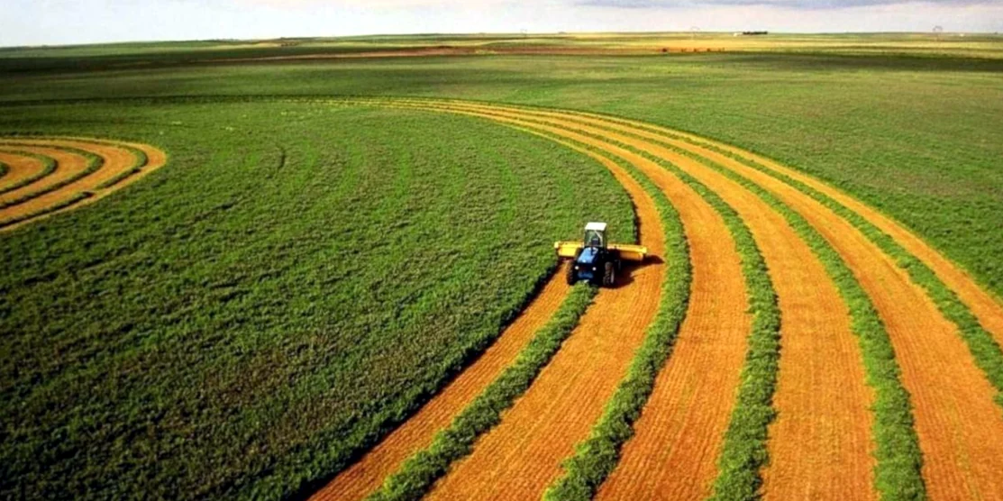 Від скасування мораторію на продаж землі минуло три роки. Вплив на економіку Рівненщини