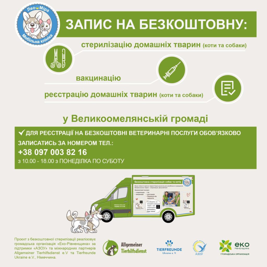 На Рівненщині безоплатно стерилізують і вакцинують тварин - фото 3